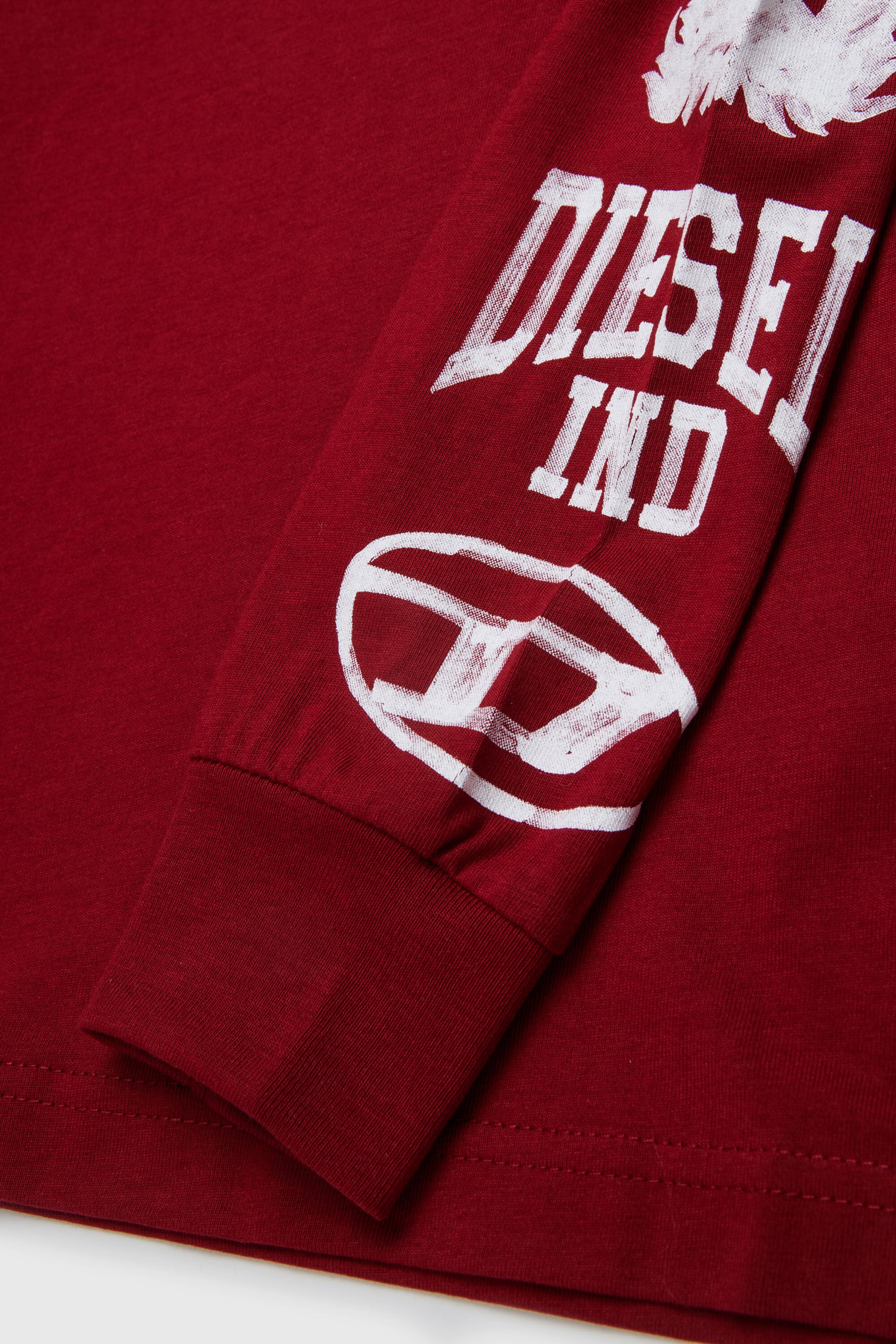 Diesel - TBUNDY OVER, Man's Hooded long-sleeve T-shirt with varsity graphics in null - 4
