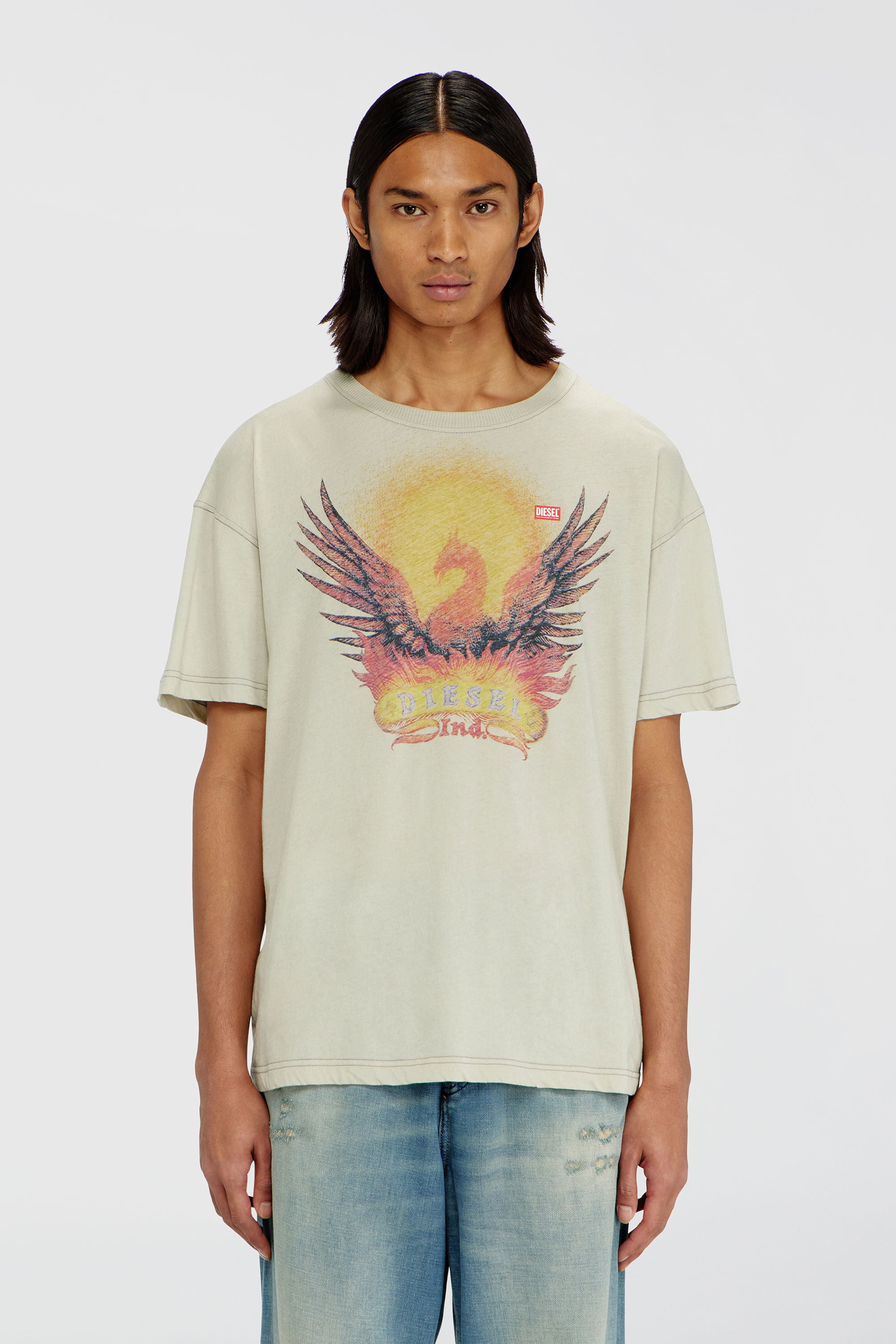 Diesel - T-NORM-AA1, Man's Regular T-shirt with Phoenix print in Beige - 3