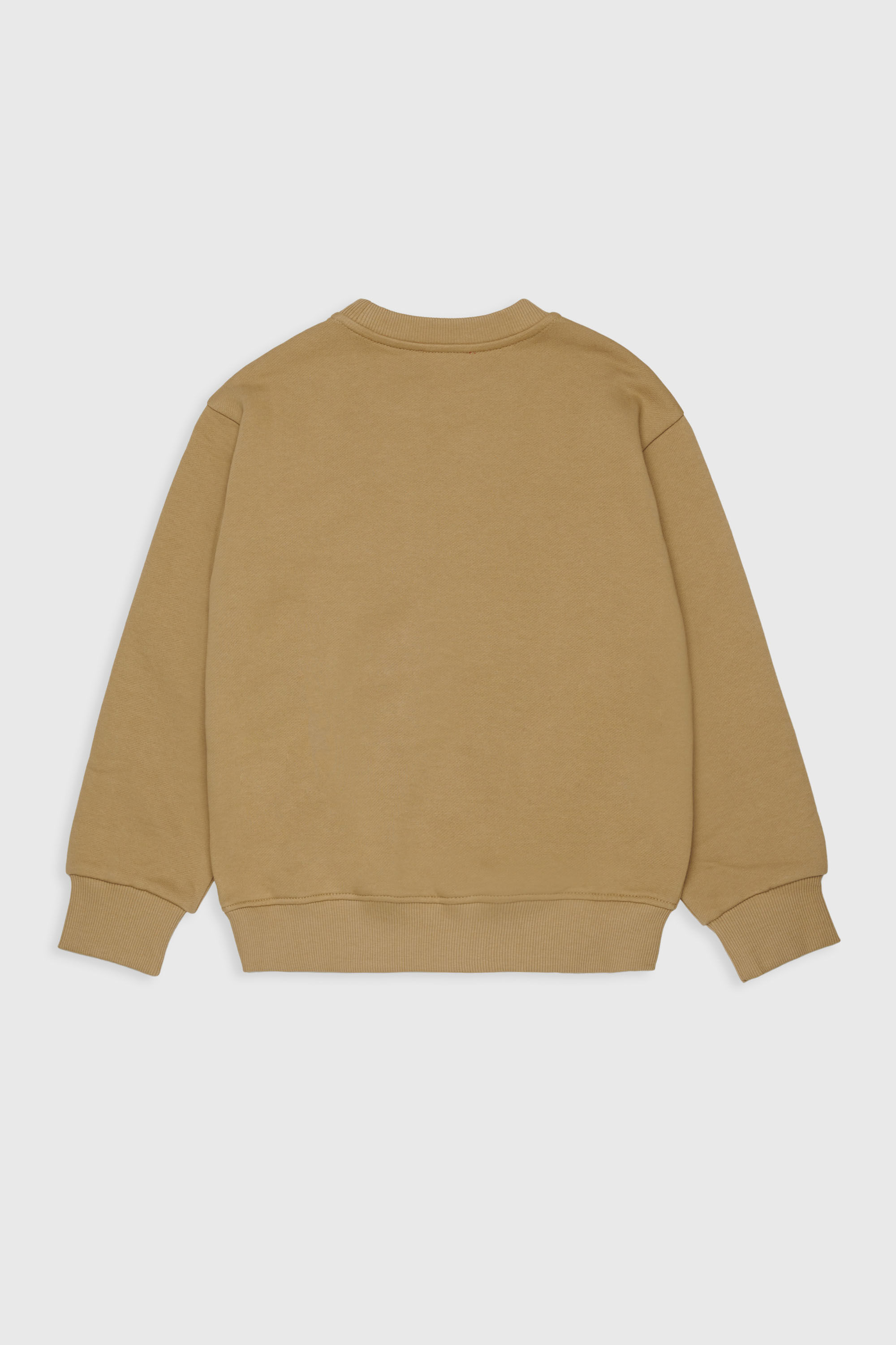 Diesel - SLODIM OVER, Man's Sweatshirt with Diesel Industry print in Brown - 2