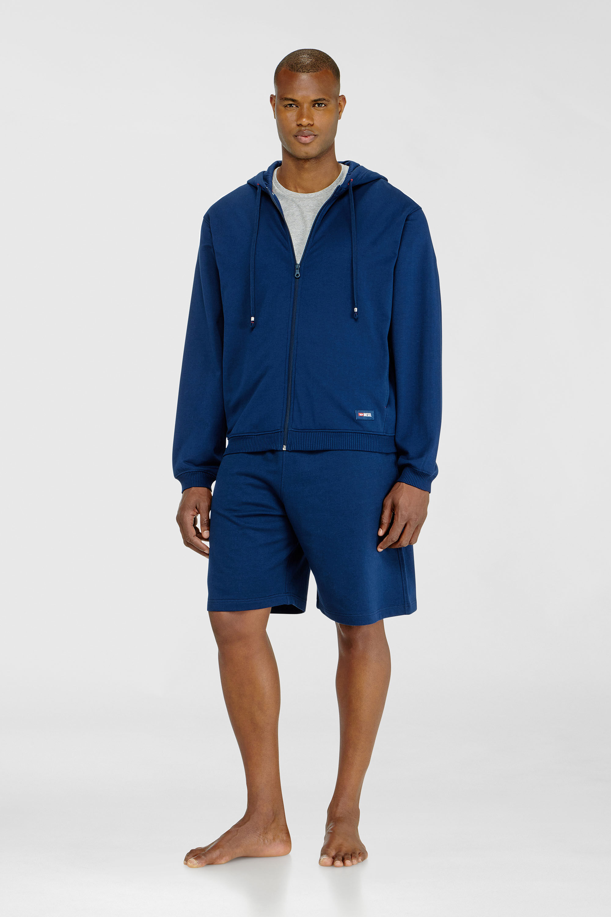 Diesel - JOY-D-CORE, Man's Hoodie in peached cotton blend in Blue - 1