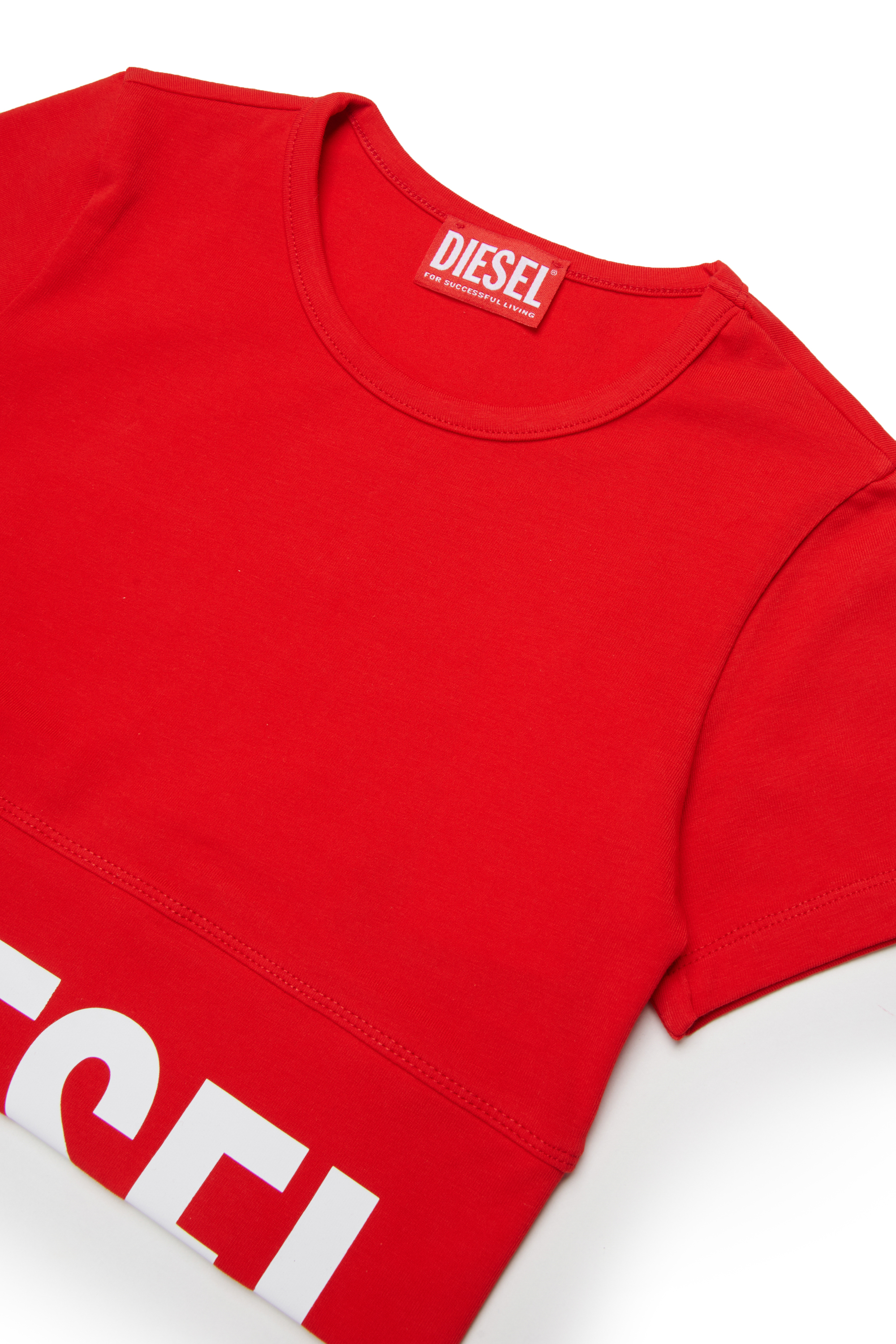 TCEFY, Red