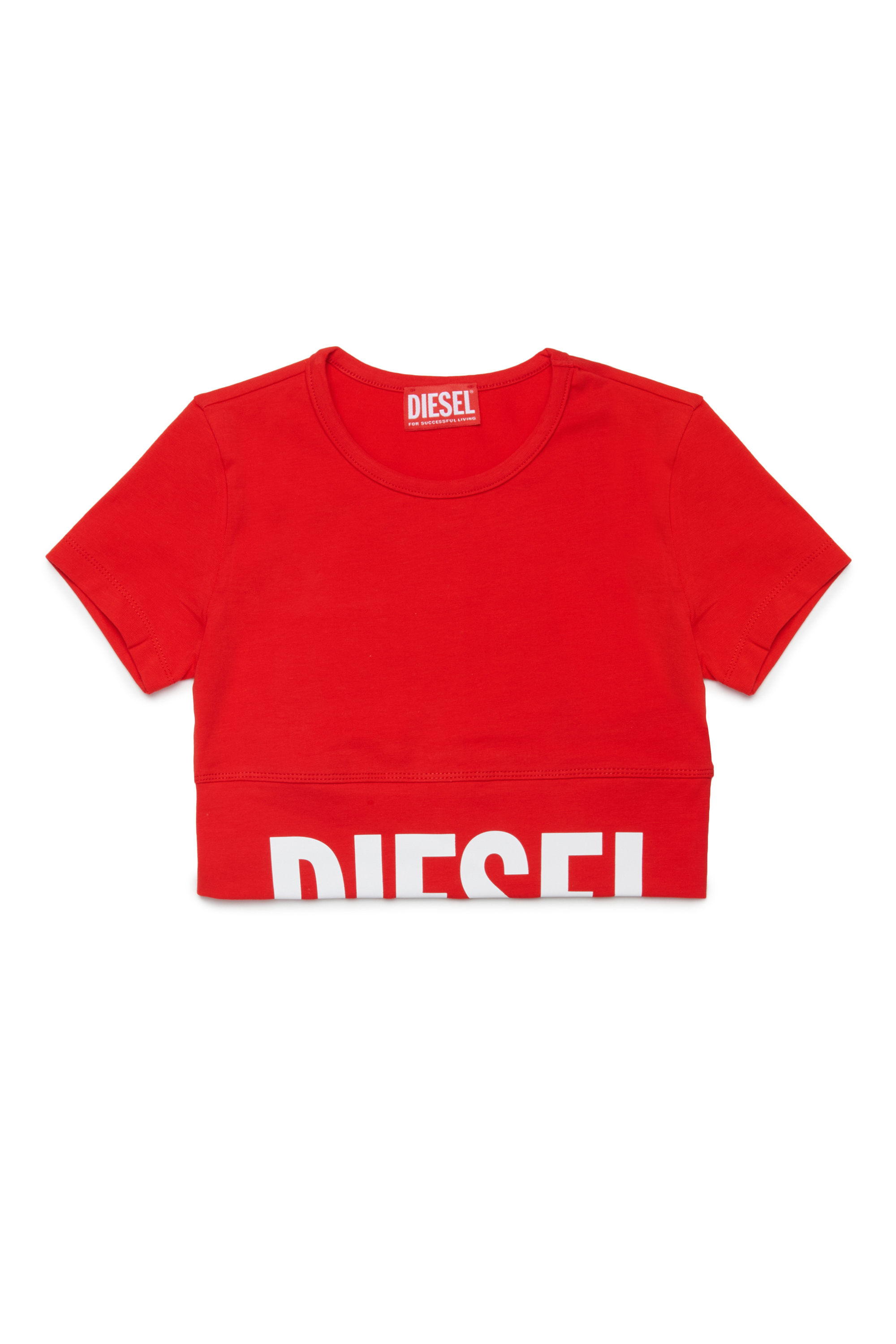 TCEFY, Red
