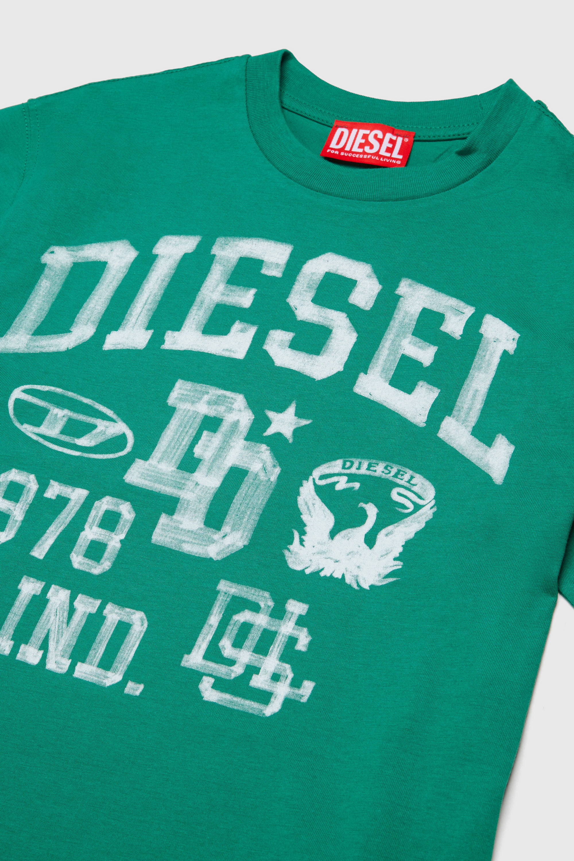 Diesel - TBAND OVER, Man's Cotton T-shirt with varsity graphics in Green - 3