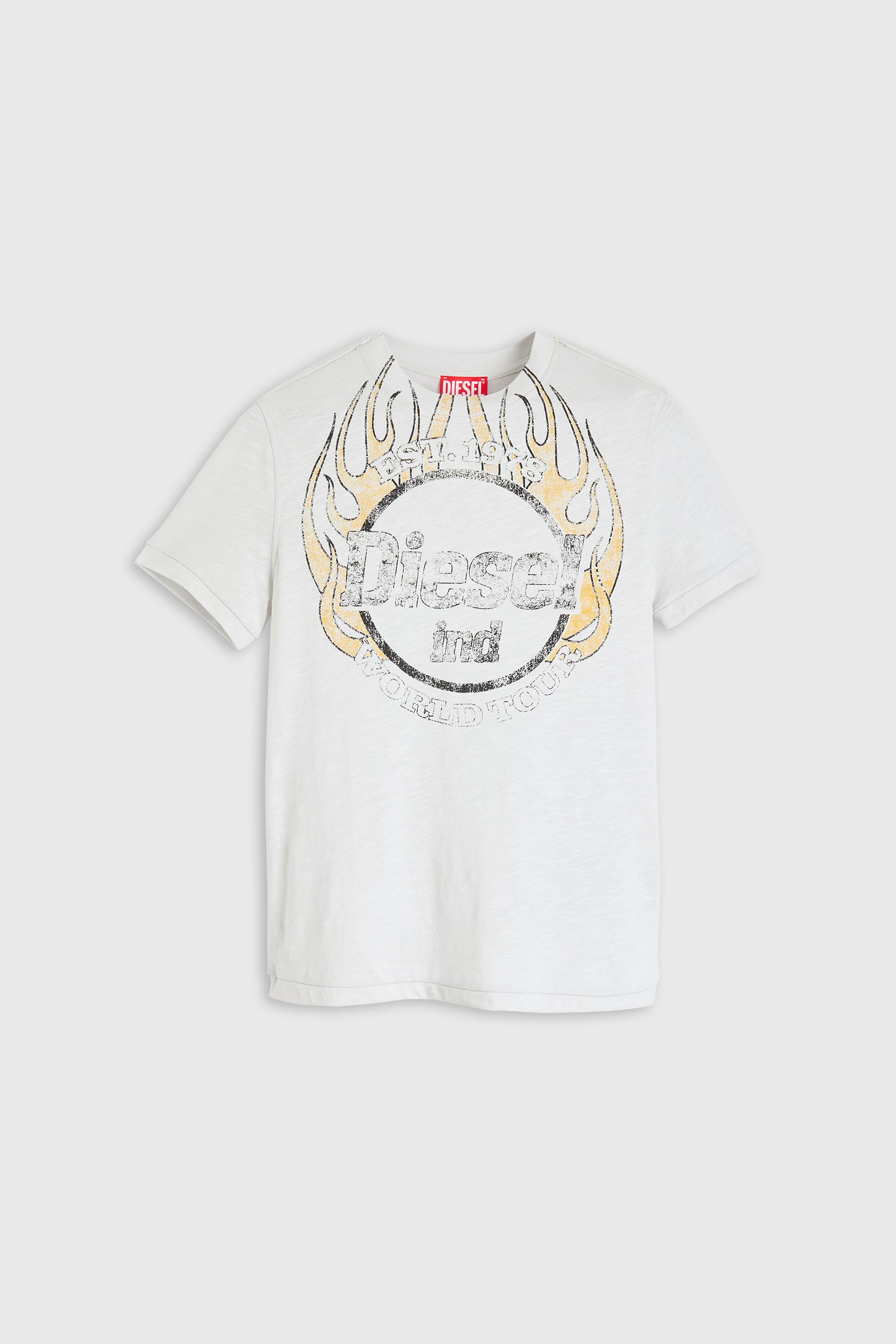 Diesel - T-REG-B1, Woman's T-shirt in slub jersey with crack print in White - 1