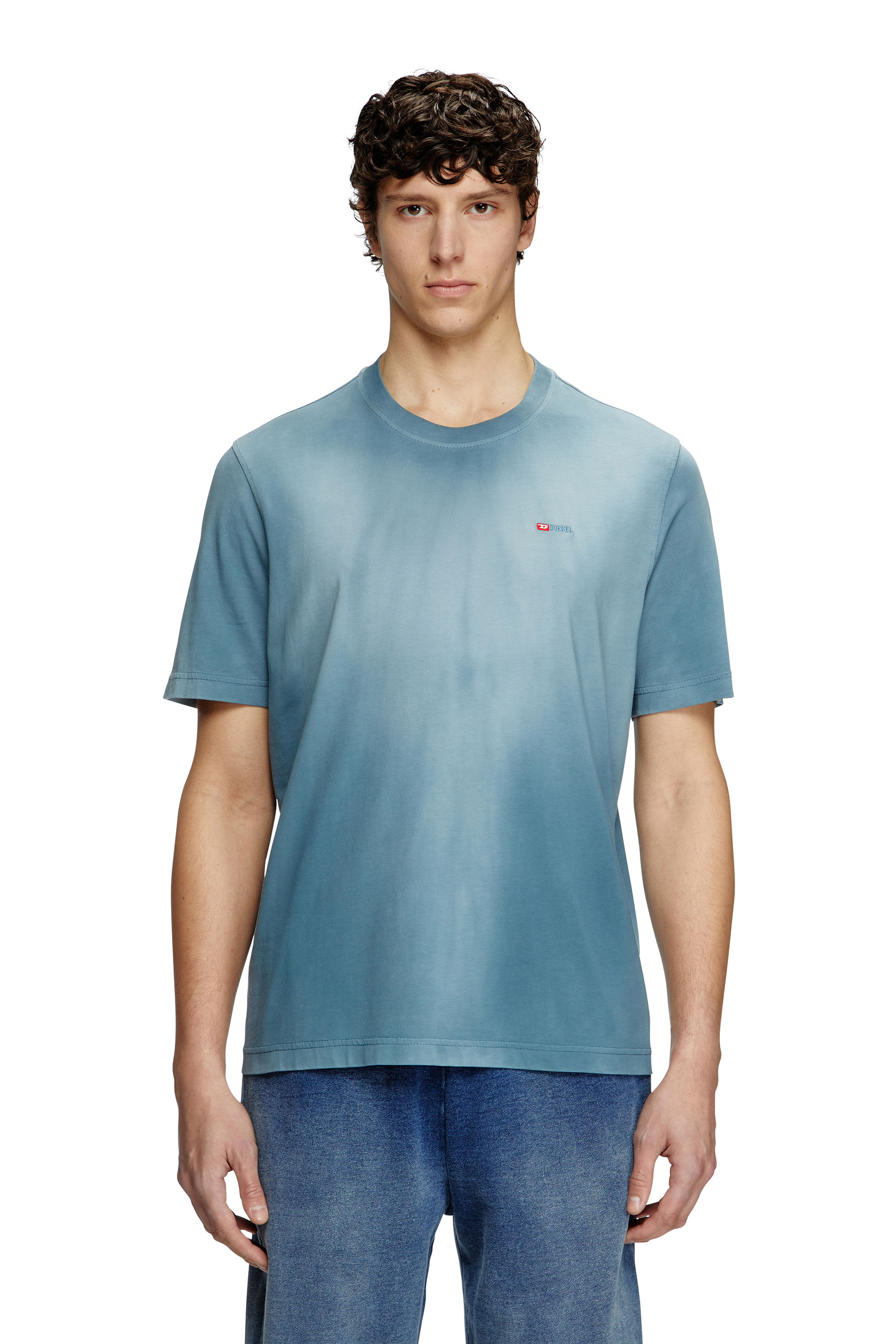 Diesel - T-ADJUST-R15, Man's Faded T-shirt with micro logo embroidery in Light Blue - 1