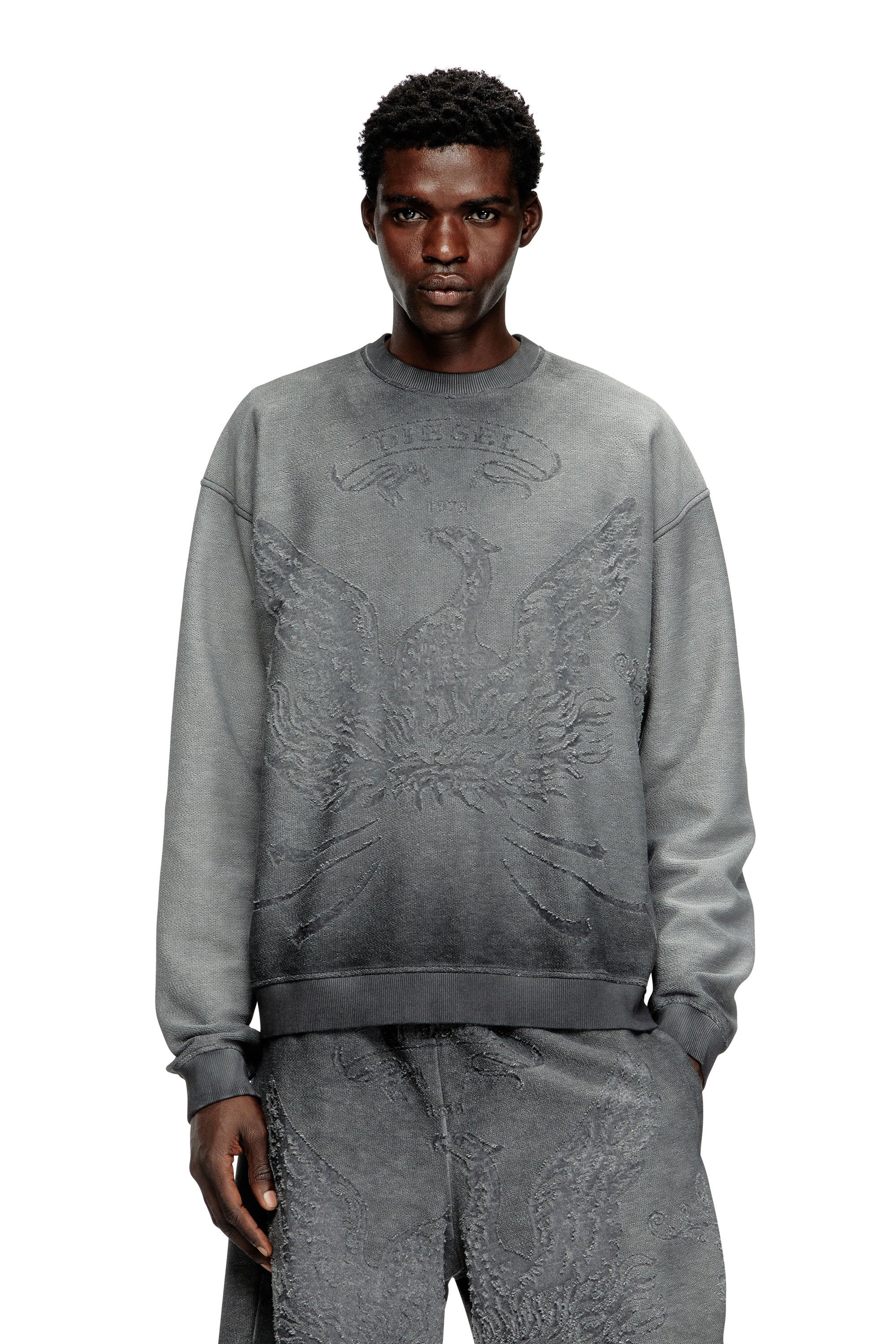 Diesel - S-ARON, Man's Faded sweatshirt with devoré Phoenix logo in Grey - 1